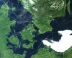 MERIS image of Denmark, on 1 June 2003.