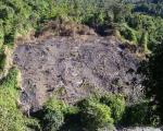 Land cleared for "jhoom", a traditional shifting cultivation in Northeast India (Image: Prashanthns)