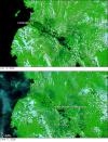 satellite image of floods in the Philippines