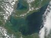 Algal bloom in the west end of Lake Erie captured by MODIS