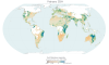Soil Moisture Anomalies, (c) ESA