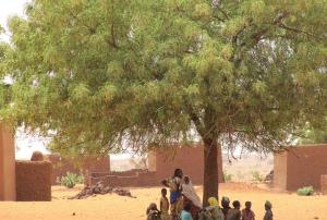 Satellite services can greatly improve cellular network coverage in rural areas