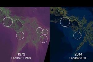 Parts of land lost to the sea along the last four decades (Image: Zachary Tessler/USGS and NASA)