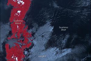 NASA's satellite Terra ASTER radiometer captured an image of internal waves