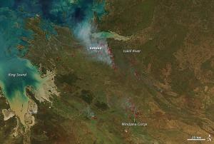MODIS acquired this image of dozens of managed fires