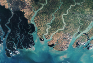 Satellite image over the eastern part of the Sundarbans in Bangladesh. Image: European Space Agency.