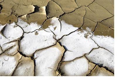 Desertification affects 80 percent of arable land in Iraq